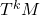 T^kM