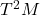 T^2M